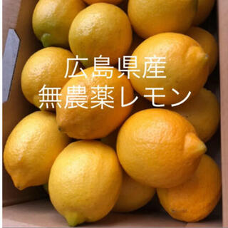 国産　レモン　広島県産　無農薬　レモン　瀬戸内レモン　2kg (フルーツ)