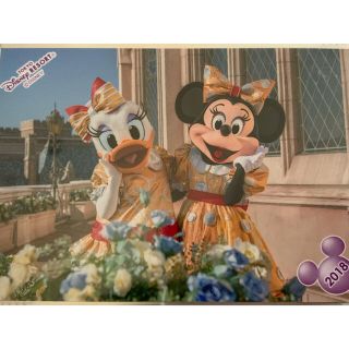 ディズニー(Disney)のディズニースペシャルフォト　2018(写真)