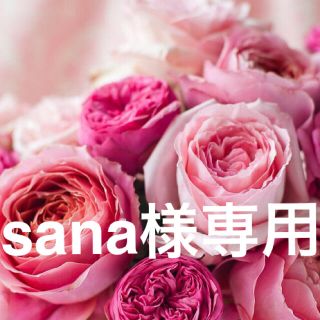 sana様専用(その他)