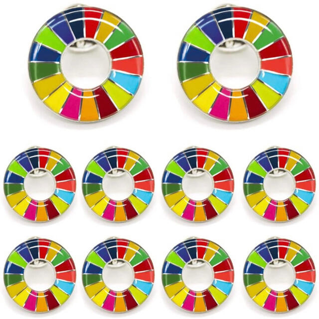 SDGs ピンバッジ　30個セット　最安値　国連　公式　グッズ　バッチ　新品