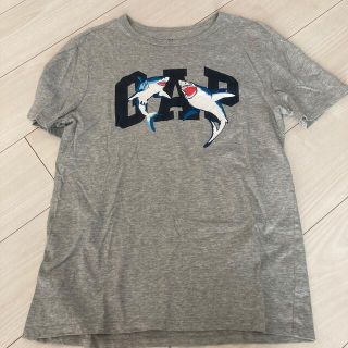 ギャップキッズ(GAP Kids)のGAP KIDS ギャップ　半袖シャークTシャツ　XXL 160(Tシャツ/カットソー)