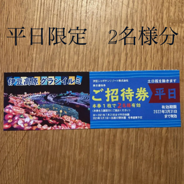 ☆☆週末特価☆☆ 伊豆高原　グランイルミ  ご招待券　☆平日　2名様分☆ チケットの施設利用券(遊園地/テーマパーク)の商品写真