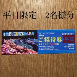 ☆☆週末特価☆☆ 伊豆高原　グランイルミ  ご招待券　☆平日　2名様分☆(遊園地/テーマパーク)