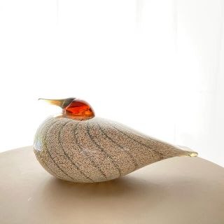 イッタラ(iittala)の  Latohaapana SSKK 2010年 バード  箱あり(置物)