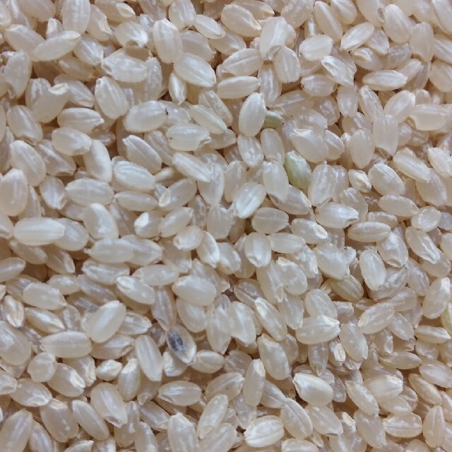 専用ページ コシヒカリ玄米 60kg 検査証明 3等 1