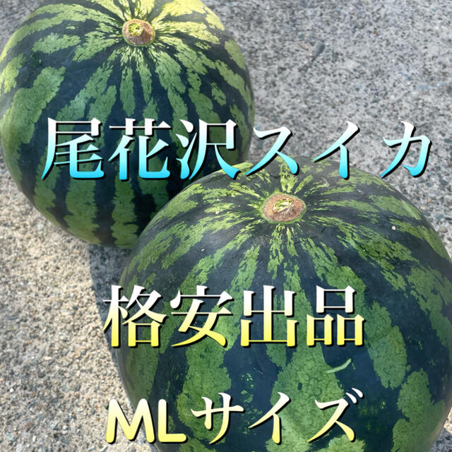 ※山形県 尾花沢スイカ 2つ玉 M〜Lサイズ 食品/飲料/酒の食品(フルーツ)の商品写真