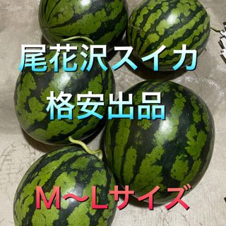 ※山形県　尾花沢スイカ　1つ玉　M〜Lサイズ(フルーツ)