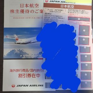 JAL 日本航空　株主優待(その他)