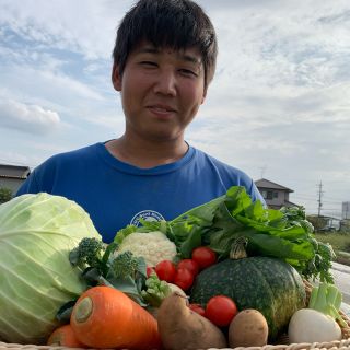 農家直送野菜セット8品以上(野菜)