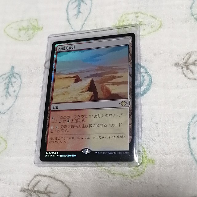 MTG 灼陽大峡谷 foil