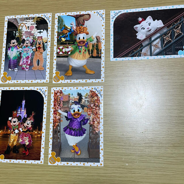 Disney スペシャルフォト 11枚セット｜キャラクターグッズ