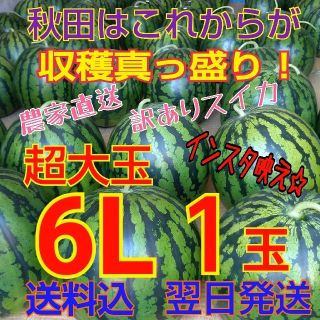 【訳あり】糖度12度以上 秋田 農家直送スイカ 西瓜 キズ むら 6Lサイズ1玉(フルーツ)