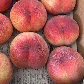 🍑あかつき🍑3キロは5日受付で終了(フルーツ)