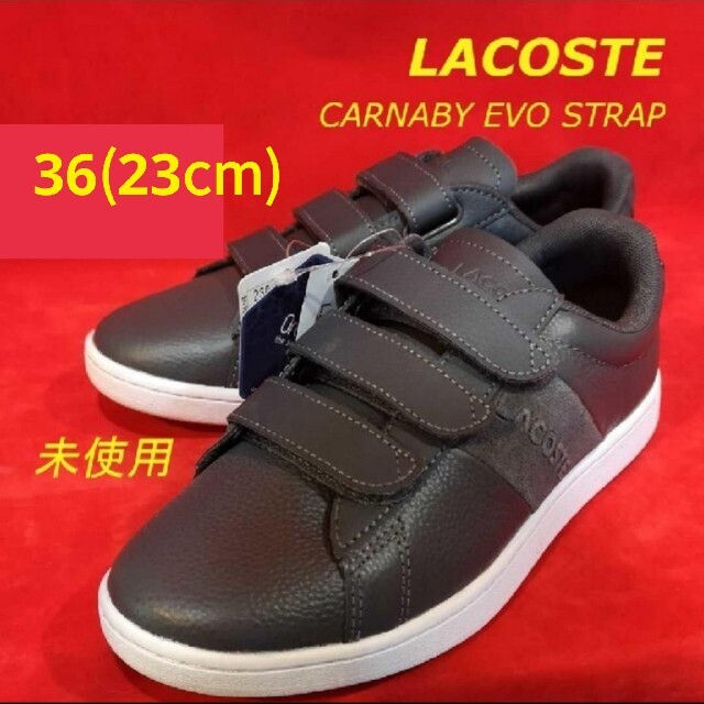 LACOSTE(ラコステ)のLACOSTE CARNABY EVO STRAP ダークグレー 14300円 レディースの靴/シューズ(スニーカー)の商品写真