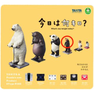 りさ様 タニタガチャ　今日は何キロ？　レッサーパンダ(その他)