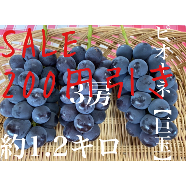 大玉葡萄　ピオーネ　福岡県産　農家直送　本日限定SALE 食品/飲料/酒の食品(フルーツ)の商品写真