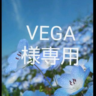 VEGA様専用(その他)