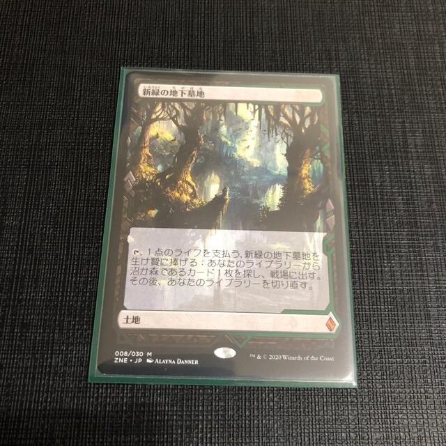 MTG 新緑の地下墓地　ZNE トッパー　エクスペディション