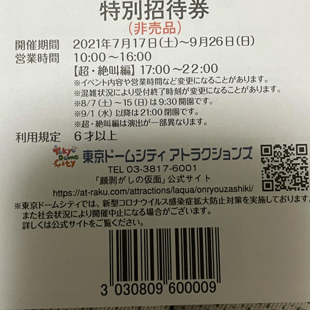 東京ドーム　顔剥がしの仮面　2枚セット チケットの施設利用券(遊園地/テーマパーク)の商品写真