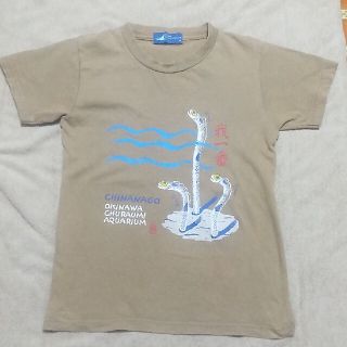 Tシャツ  M  沖縄　美ら海水族館(Tシャツ(半袖/袖なし))