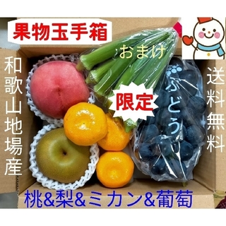 数限り❗旬の果物玉手箱♥和歌山雪だるまから(フルーツ)