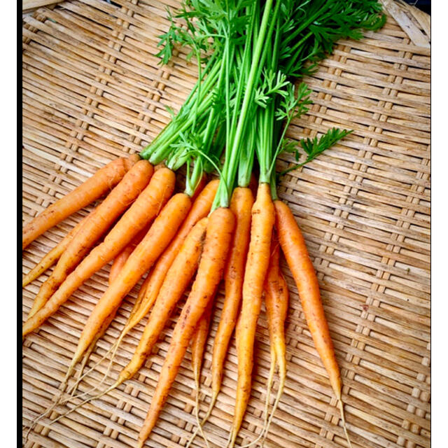 畑直送　無農薬栽培新鮮野菜 食品/飲料/酒の食品(野菜)の商品写真