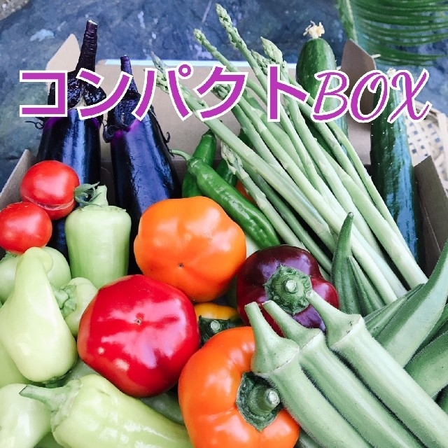 新鮮野菜 コンパクトBOXいっぱいの野菜セット 野菜詰め合わせ　農薬不使用 食品/飲料/酒の食品(野菜)の商品写真