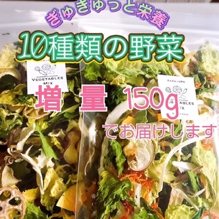 新鮮野菜 10種類の乾燥野菜MIX 簡単お手軽超便利！ 75g×2袋 入り(野菜)