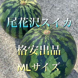 ※山形県　尾花沢スイカ　2つ玉　M〜Lサイズ(フルーツ)