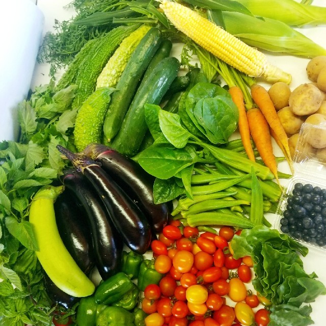 九州とれたて野菜セット 食品/飲料/酒の食品(野菜)の商品写真