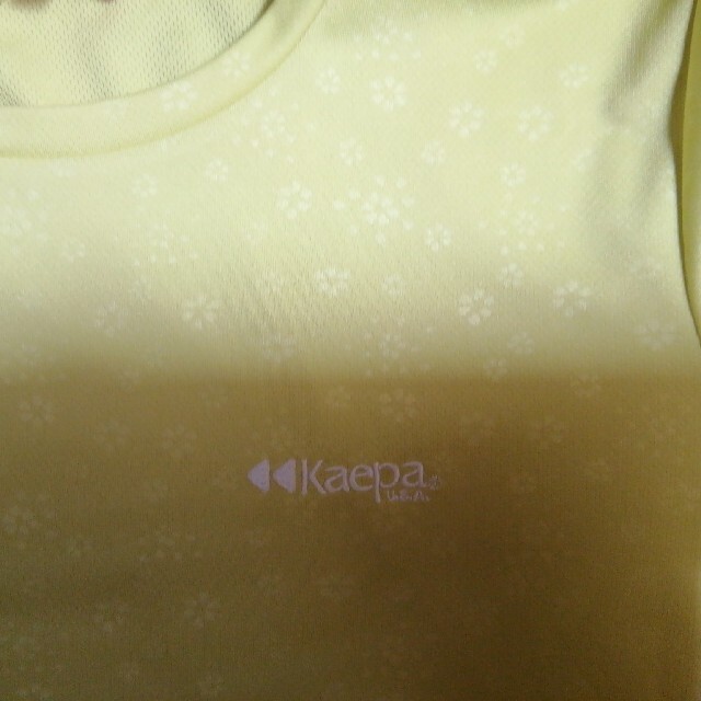 Kaepa(ケイパ)のKaepa　Tシャツ　Mサイズ　美品 レディースのトップス(Tシャツ(半袖/袖なし))の商品写真