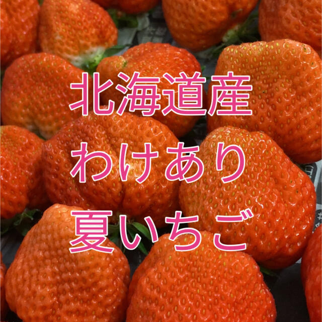 北海道産 訳あり 夏いちご 生苺 1kg 食品/飲料/酒の食品(フルーツ)の商品写真