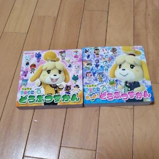 どうぶつずかん　どうぶつの森　美品☆(絵本/児童書)