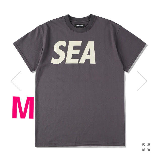 wind and sea ロゴTシャツ M CHARCOAL-BEIGE 新品