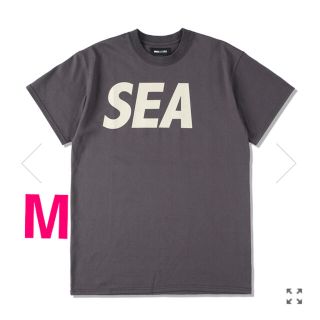 シー(SEA)のwind and sea ロゴTシャツ M CHARCOAL-BEIGE 新品(Tシャツ/カットソー(半袖/袖なし))