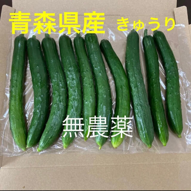 1. 青森県産　きゅうり　無農薬 食品/飲料/酒の食品(野菜)の商品写真