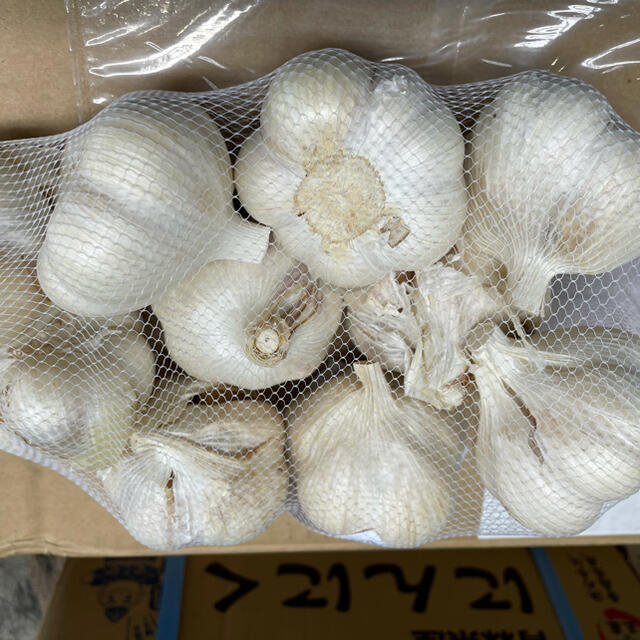 青森県産にんにく　1kg 2Lサイズ　1ネット 食品/飲料/酒の食品(野菜)の商品写真