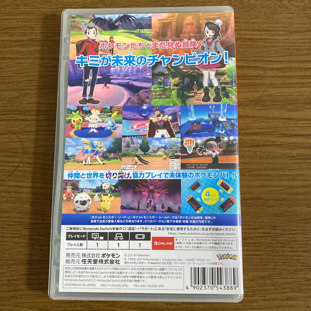 ポケットモンスター ソード Switch 1