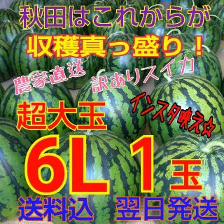 【訳あり】糖度12度以上 秋田 農家直送スイカ 西瓜 キズ むら 6Lサイズ1玉(野菜)