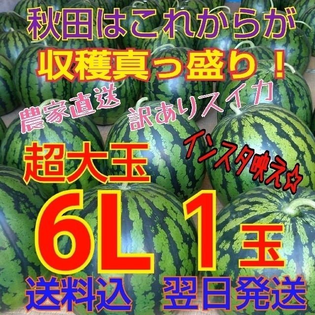 西瓜　農家直送スイカ　キズ　訳あり】糖度12度以上　by　6Lサイズ1玉の通販　秋田　むら　ケティ｜ラクマ