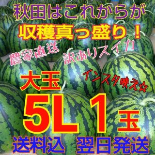 【訳あり】糖度12度以上 秋田 農家直送スイカ 西瓜 キズ むら 5Lサイズ1玉(野菜)