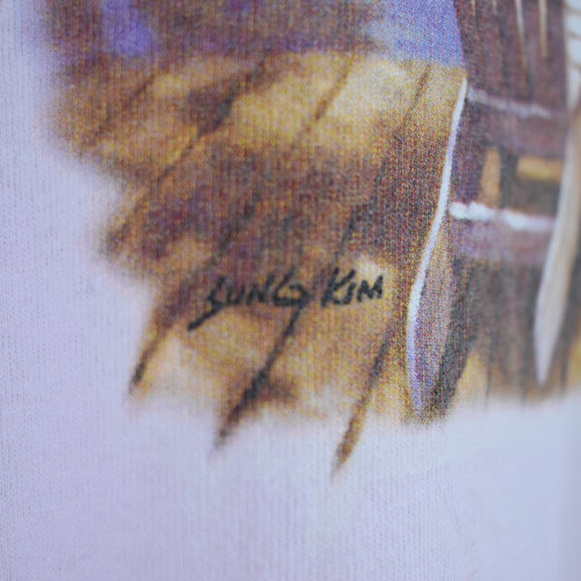 GILDAN(ギルタン)の専用ピンク プリントTシャツ 風景プリント レアカラー 古着 オーバーサイズ メンズのトップス(Tシャツ/カットソー(半袖/袖なし))の商品写真