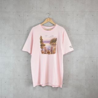 ギルタン(GILDAN)の専用ピンク プリントTシャツ 風景プリント レアカラー 古着 オーバーサイズ(Tシャツ/カットソー(半袖/袖なし))