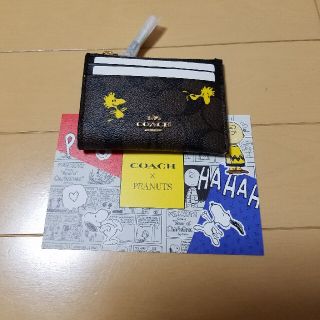 コーチ(COACH)のCOACH×peanuts　ウッドストック(パスケース/IDカードホルダー)