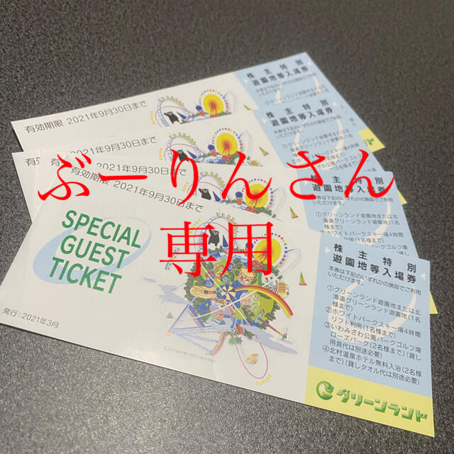 g ）グリーンランド　株主特別遊園地等入場券　株主優待