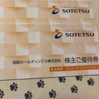 ゆうパケット　2冊　相鉄ホールディングス　株主優待券(ショッピング)