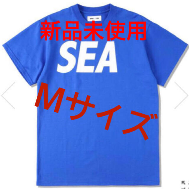 Supreme(シュプリーム)のwind and sea  ロゴ Tシャツ Mサイズ メンズのトップス(Tシャツ/カットソー(半袖/袖なし))の商品写真