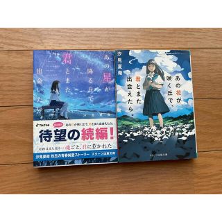 【メイ様専用】スターツ出版文庫　3冊セット(文学/小説)