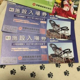 ジャガーズ様専用　1枚　スパリゾートハワイアンズ　常磐興産　株主優待券(遊園地/テーマパーク)