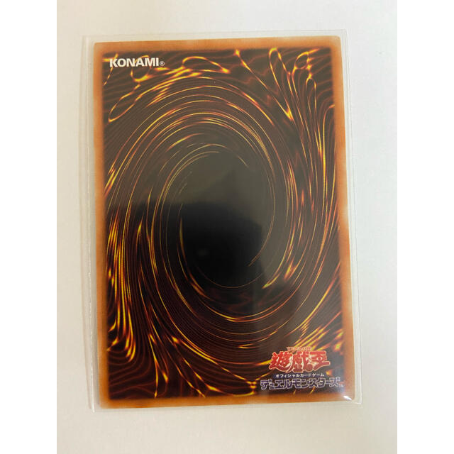 遊戯王 ドラゴンメイド チェイム 20th 美品 - coastalcareeracademy.com